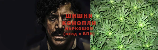 ешки Горняк