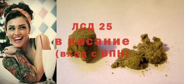 ешки Горняк