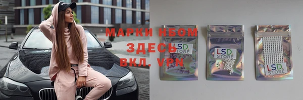 ешки Горняк