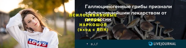 ешки Горняк