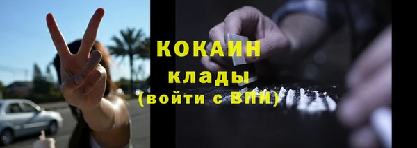 ешки Горняк