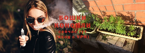 гашик Вяземский